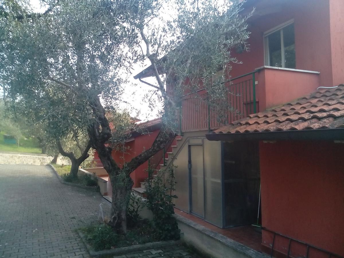 Genius Apartments San Savino  Exterior foto
